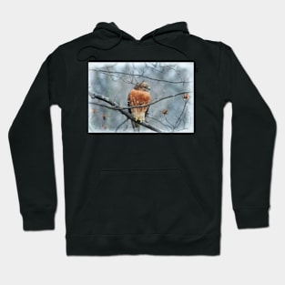 Winter Hawk Hoodie